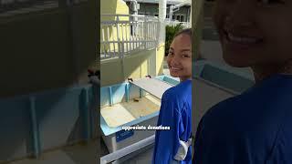 Saving Sea Turtles: Inside the Heart of Loggerhead Marinelife Center, Juno Beach, Florida