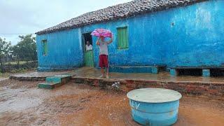 Chuva Sítio Mamoeiro verdejante PE/vídeo feito dia 21 de Maio de 2024.