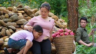 Harvest dragon fruit to sell, Nhu Listen to the baby from the womb - Wet preserved vegetables