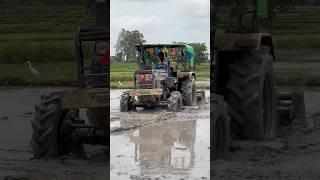 Swaraj 4wd tractor working in mud #shorts #trending #tractor