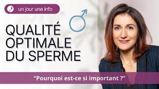 L'importance de la qualité du sperme dans un projet de conception