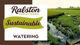 Watering at Ralston Family Farms