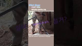 [짤5-2] 베트남에서 내집짓기(설비) #베트남 #설비 #국제커플