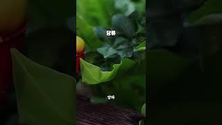 나이가 들수록 음식에서 반드시 피해야 하는 3가지 #2 당류