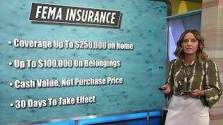 Private or FEMA Flood Insurance: How to know which is best for your property