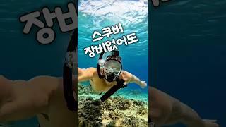 요즘 스노클링 이렇게해요