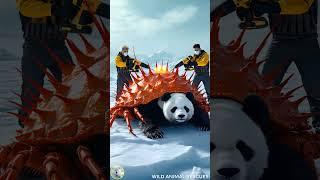 Rescue Panda from the Giant Shell by Helicopter and the Ending #panda #Shorts