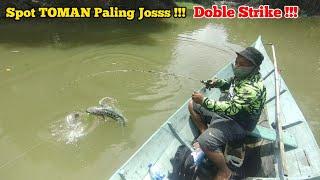 SPOT TOMAN DI SINI LUAR BIASA SAMPAI DOBLE STRIKE !!!  Mancing Toman Kalimantan Danau Seluluk