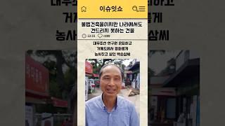 불법건축물이지만 나라에서도 건드리지 못하는 건물