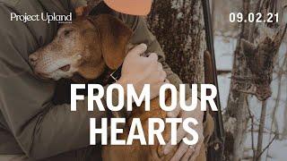 Upland Hunting with a Vizsla - From Our Hearts - A Project Upland Original FIlm