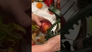 Vintage Reading apple peeler in action.