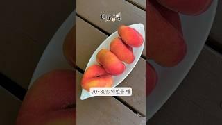 프랑스종 납작복숭아후숙 필수있니다‼️
