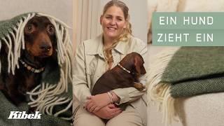 Einrichtungstipps mit Hund I Kibek