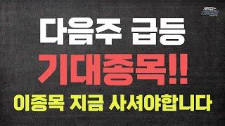 다음주 급등 기대종목!! '이종목' 지금 사셔야 후회 안합니다