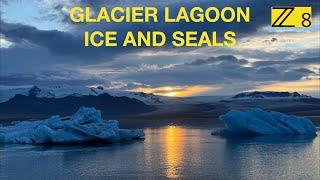 Glacier Lagoon Iceland - Photographing Ice & Seals