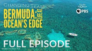 Bermuda: Life at Ocean's Edge - Full Episode