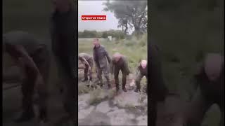 В сеть слили секретные кадры тренировки «второй армии мира» #рекомендации