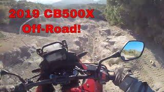 2019 CB500X the Hard Way! Taking the Cleghorn Hard Split Trails on Bridgestone AX41 AdventureCross