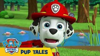  PAW Patrol Seasons 4 & 5 BEST MOMENTS! w/ Chase, Sky & Marshall | 24/7 Cartoons for Kids