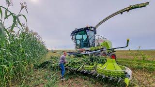 GROS CHANTIER D'ENSILAGE 2024 | 2 ensileuses CLAAS JAGUAR 970 & 950  et 11 bennes ‼️