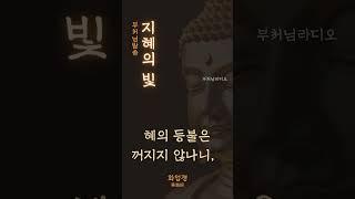 부처님말씀 : 지혜의 빛 | 화엄경(華嚴經) , 상윳따니카야 | 인생조언 | 명상의말씀