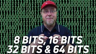 8 bits, 16 bits, 32 bits, 64 bits and nibbles