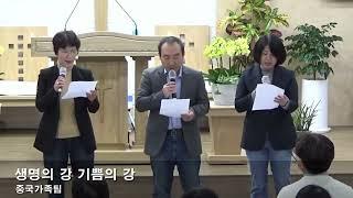 2024.11.17.(주일) 영혼사랑초청잔치 기념 특송 중국팀 - 생명의 강 기쁨의 강