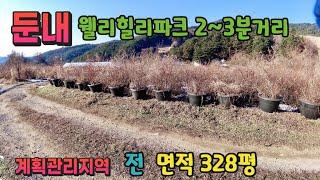 강원도 횡성부동산 둔내웰리힐리 횡성토지매매 [강원도 횡성군 둔내면부동산] #횡성군토지매매