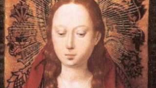 Alexander Agricola: Ave domina sancta Maria