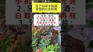 牙膏的7大妙用。#生活小常识 #生活小妙招 #百姓生活