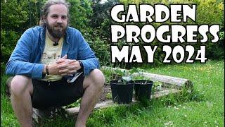 Growing a Vegetable Garden Anthology Year 1 / As a Beginner - The Progress