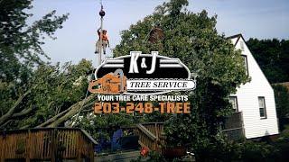 K&J Tree Service: Operations