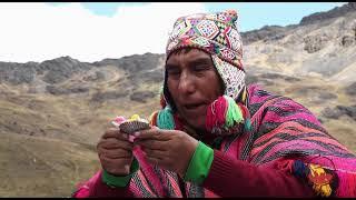 Shamanic Initiation of Midwestern Banker in Peru