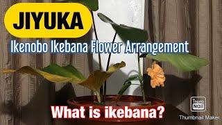 JIYUKA-an Ikenobo Ikebana arrangement