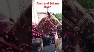 zuljana pak bramdagi 14 safar khaur|kabul badshah