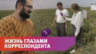О том, как UTV в Оренбурге прожил этот год