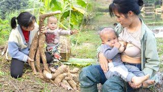 Fullvideo 380 Day Single Mother Life Raising Children Alone - Harvesting, Cooking