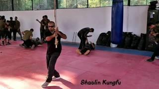 Shifu Kanishka Combatives