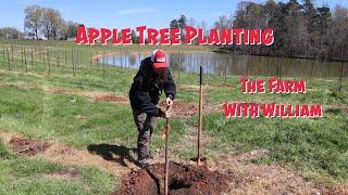 Apple Tree Planting - New Apple Orchard - The Farm with William