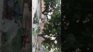 sumit Kumar 1234