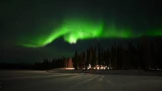 NORTHERN LIGHTS! (Real time 4k on 10.15.21 in Fairbanks, Alaska)