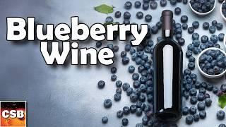 What to Know When Fermenting Fruit -Blueberry Wine One Year