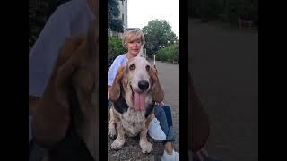 От скуки - на все руки 