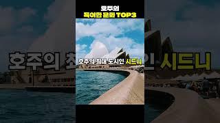 호주의 특이한 문화 top3[지식똥개]