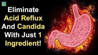 Eliminate Acid Reflux And Candida With Just 1 Ingredient | Home Remedies