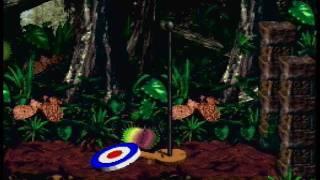 Donkey Kong Country 2 - 102% Playthrough (7/7)