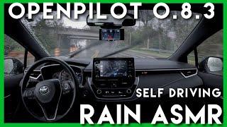 Openpilot: Self Driving Car In Rain ASMR