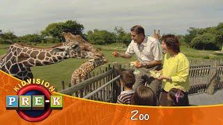 Zoo | Virtual Field Trip | KidVision Pre-K