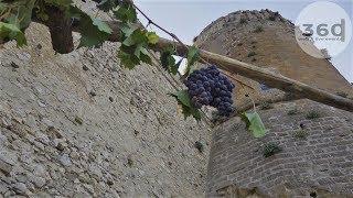 IV° Edizione Festa del Vino di Lettere -  Alta enogastronomia, accoglienza, storia e tipicità locali