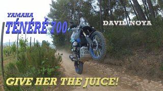 YAMAHA TÉNÉRÉ 700 - GIVE HER THE JUICE!